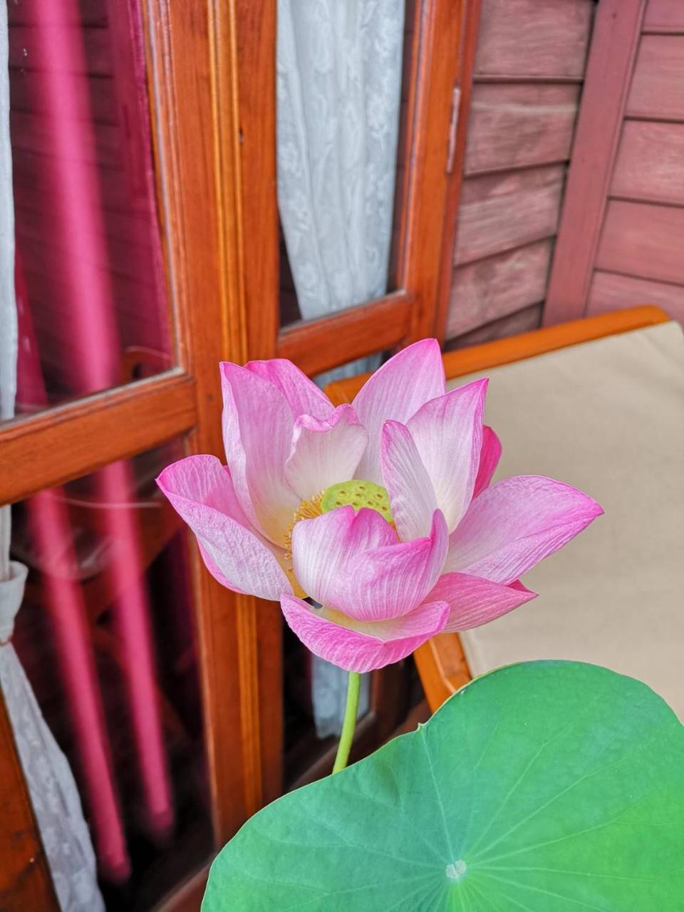 פיטסנולוק Baan Sithepaban Guesthouse מראה חיצוני תמונה