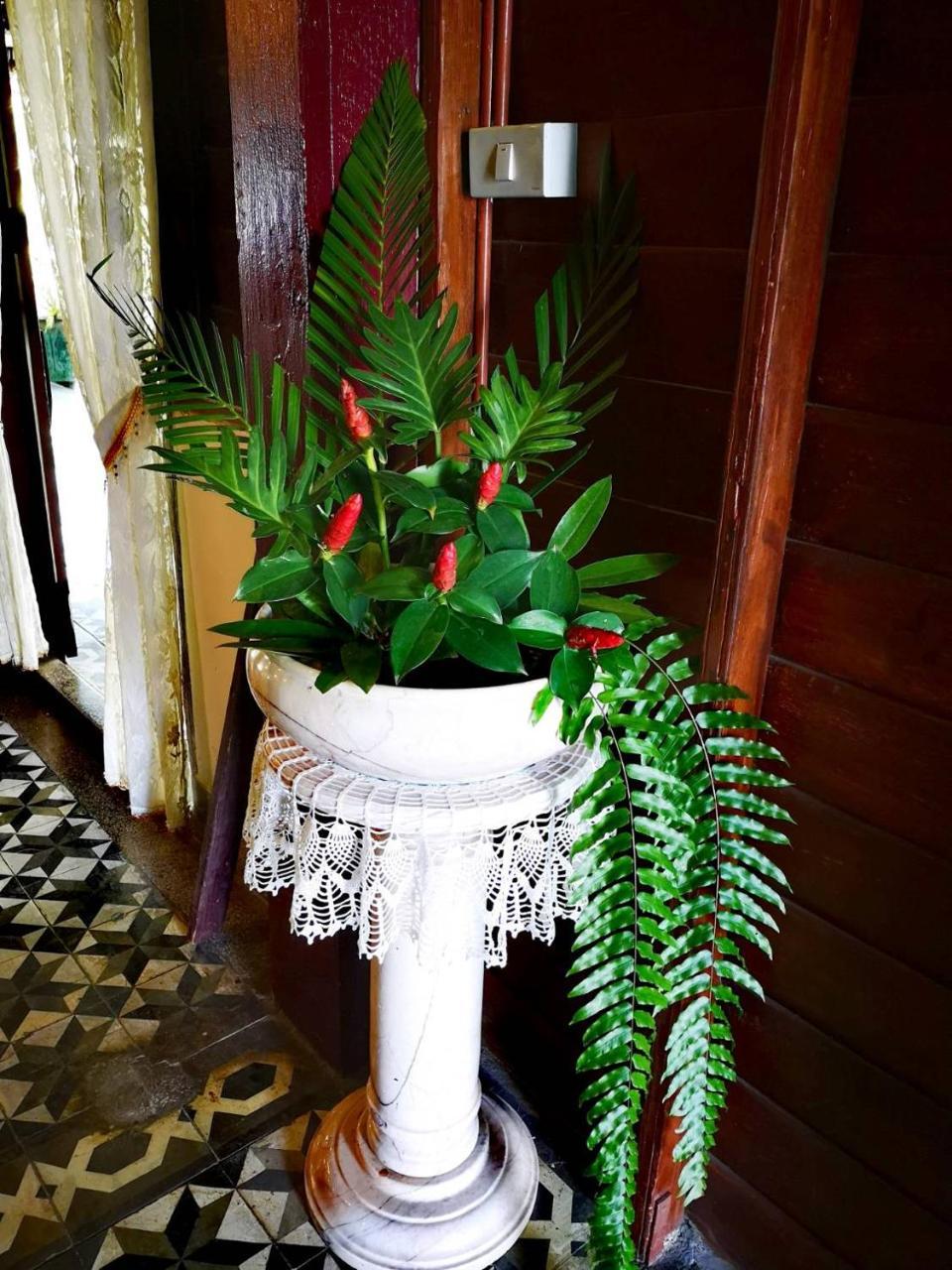 פיטסנולוק Baan Sithepaban Guesthouse מראה חיצוני תמונה